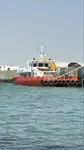 Catamaran for sale