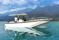 Passenger ship for sale