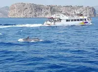 Passenger ship for sale