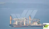 Bulk carrier for sale