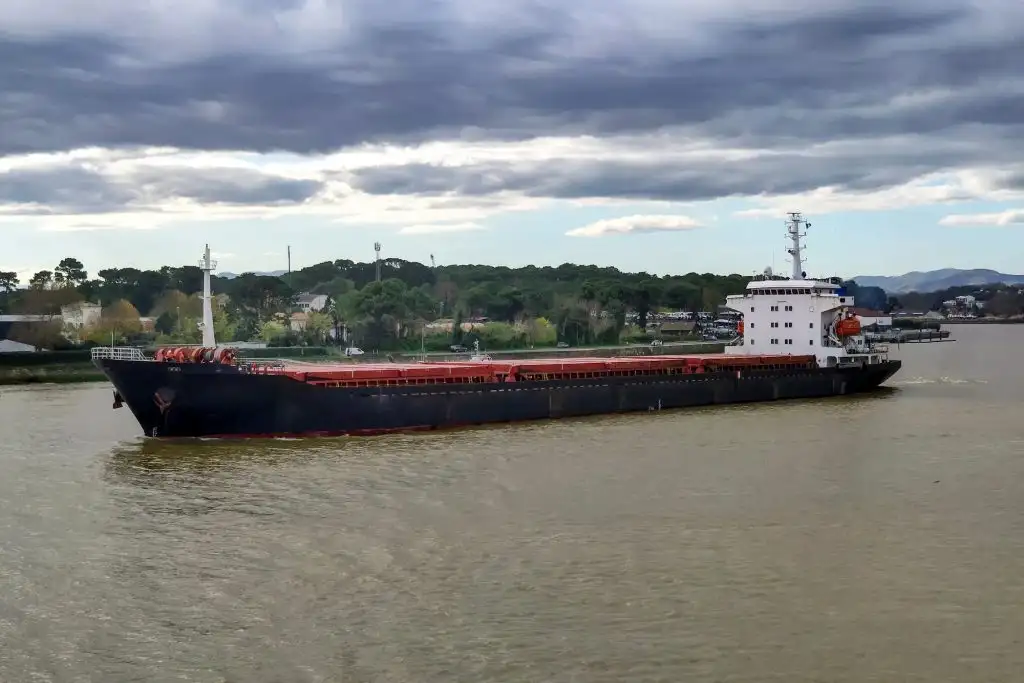 Bulk carrier for sale