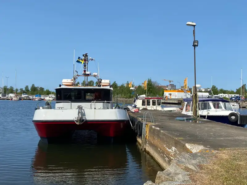 Catamaran for sale
