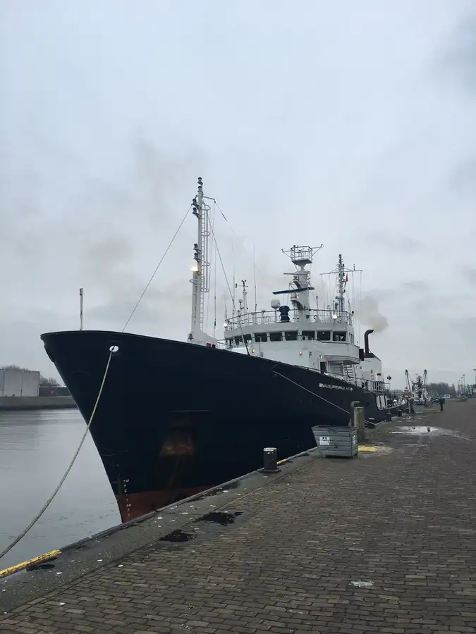 Survey vessel for sale