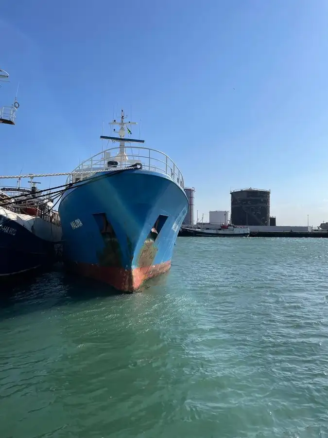 Reefer ship for sale
