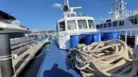 Patrol boat for sale