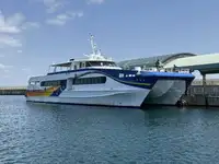 Catamaran for sale