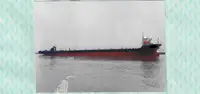 Heavy lift ship for sale