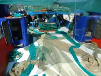 Trawler for sale