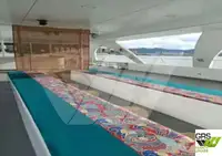 Passenger ship for sale