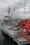 Fire boat for sale