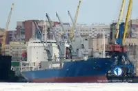 Reefer ship for sale