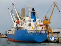 Reefer ship for sale