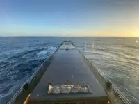 Cargo liner for sale