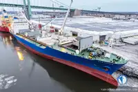 Reefer ship for sale