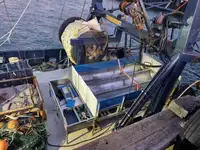 Scrap metal for sale