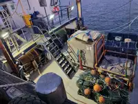 Scrap metal for sale