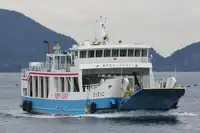 RORO ship for sale