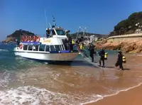 Dive support for sale