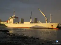 Reefer ship for sale